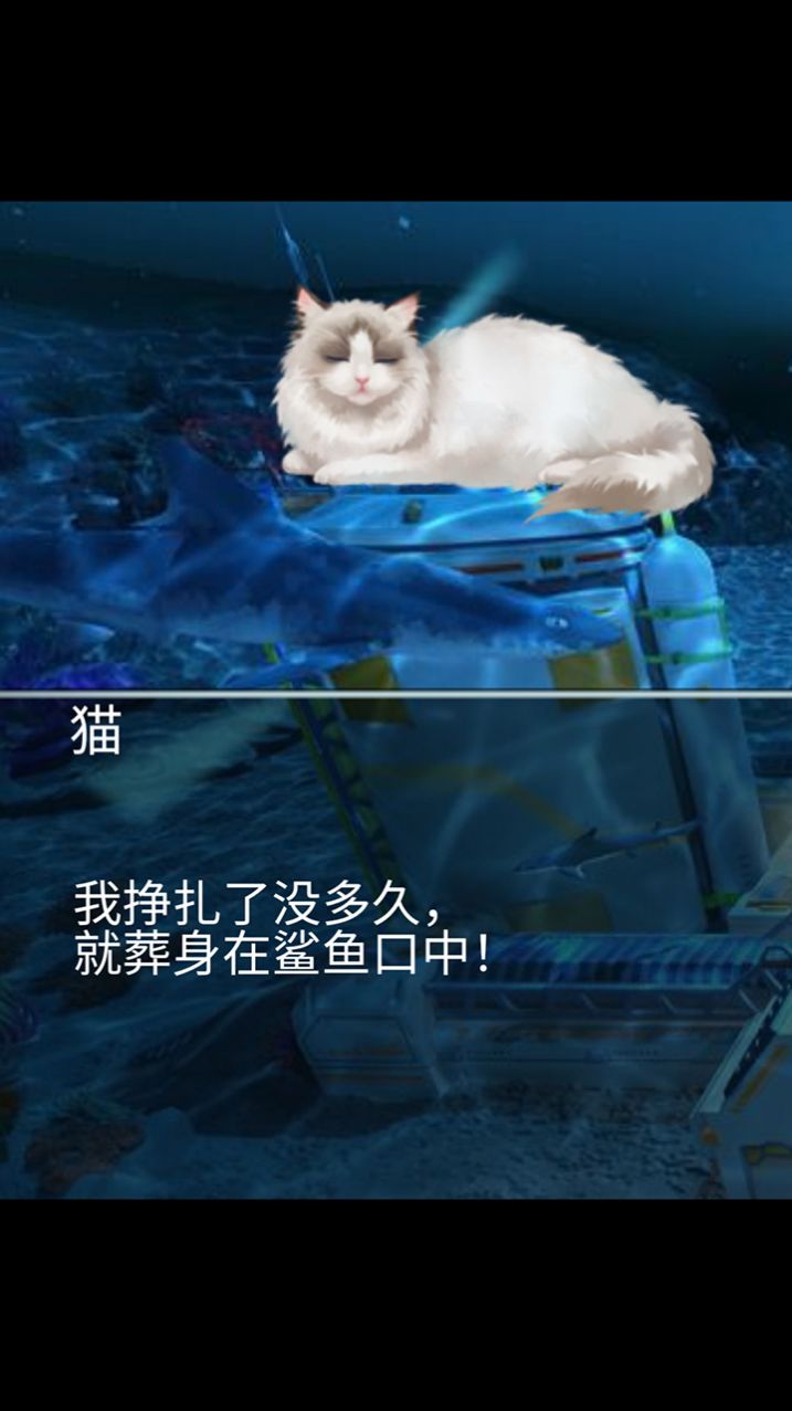 猫生煎熬官方版正版