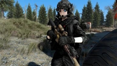 辐射4HK416步枪mod